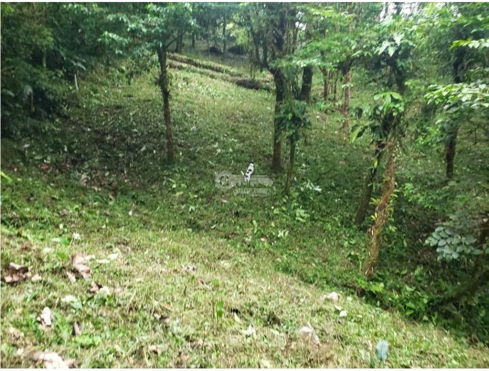 Building Lot for sale in Chame