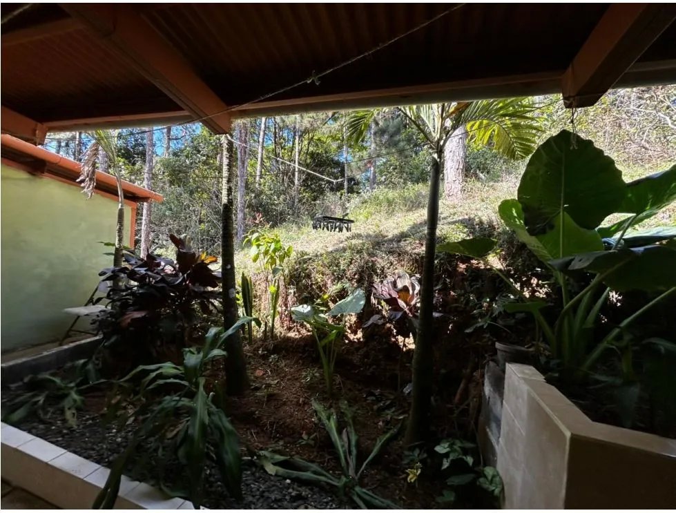 Land/Farm for sale in Cerro Azul