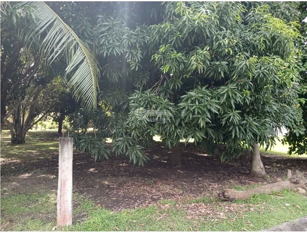 Building Lot for sale in Costa Esmeralda
