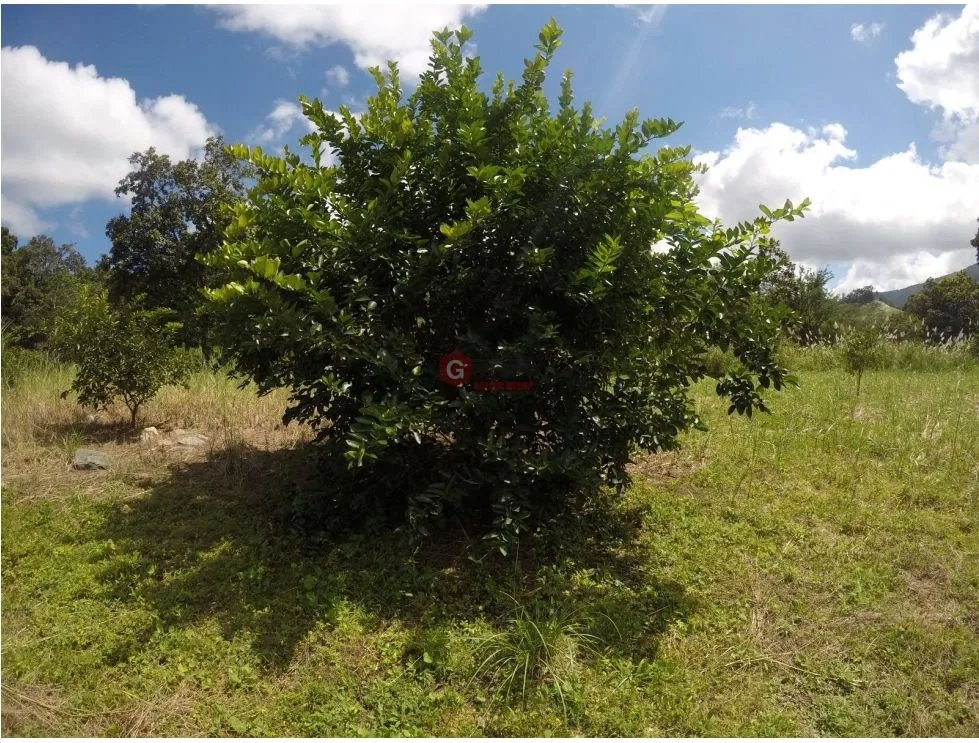 Land/Farm for sale in 24 de Diciembre