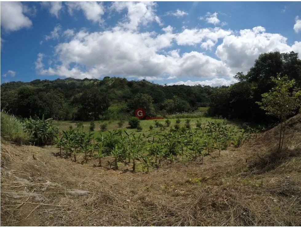 Land/Farm for sale in 24 de Diciembre