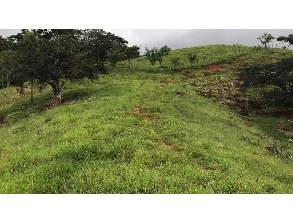 Land/Farm for sale in Buena Vista
