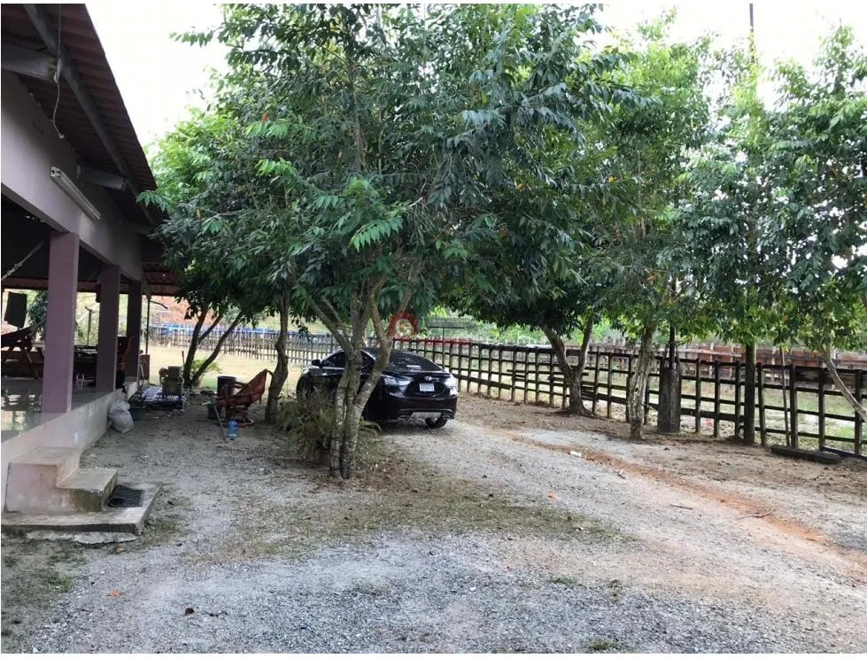 Land/Farm for sale in Buena Vista