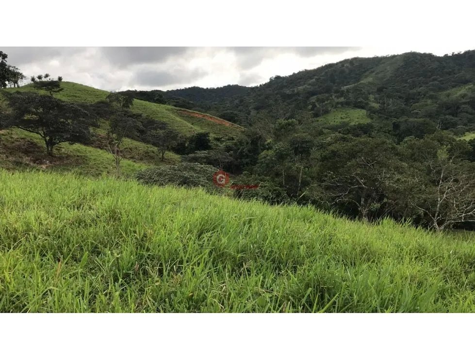 Land/Farm for sale in Buena Vista