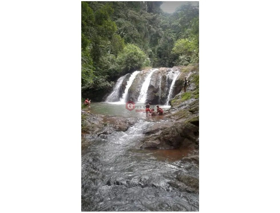 Land/Farm for sale in Buena Vista