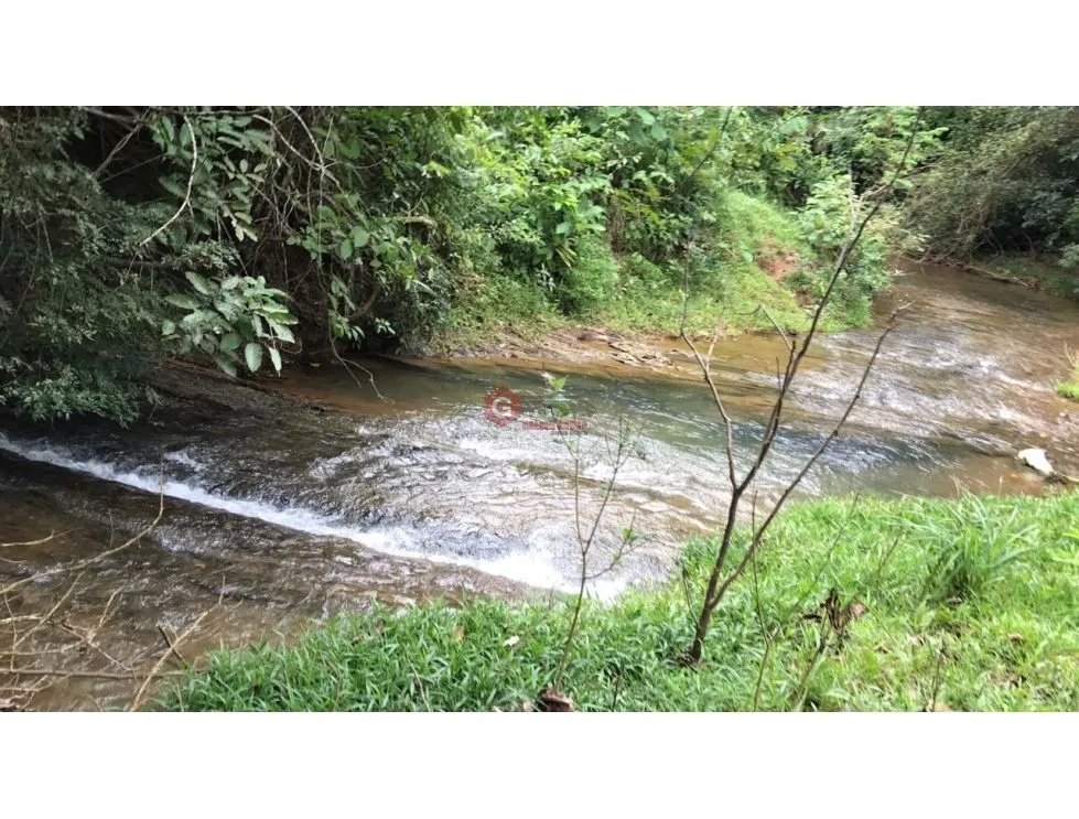 Land/Farm for sale in Buena Vista