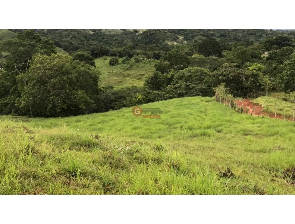Land/Farm for sale in Buena Vista