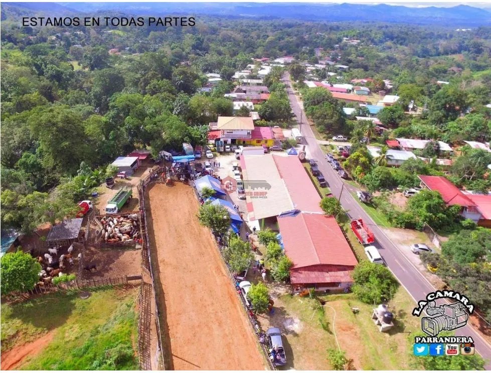 Land/Farm for sale in Buena Vista