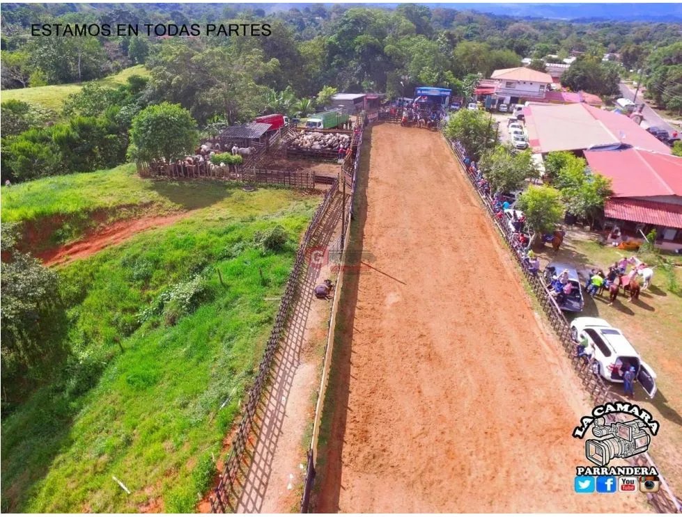Land/Farm for sale in Buena Vista