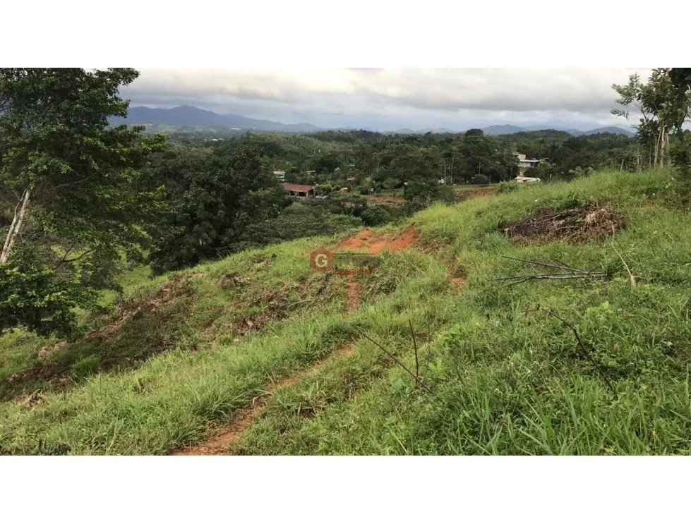 Land/Farm for sale in Buena Vista