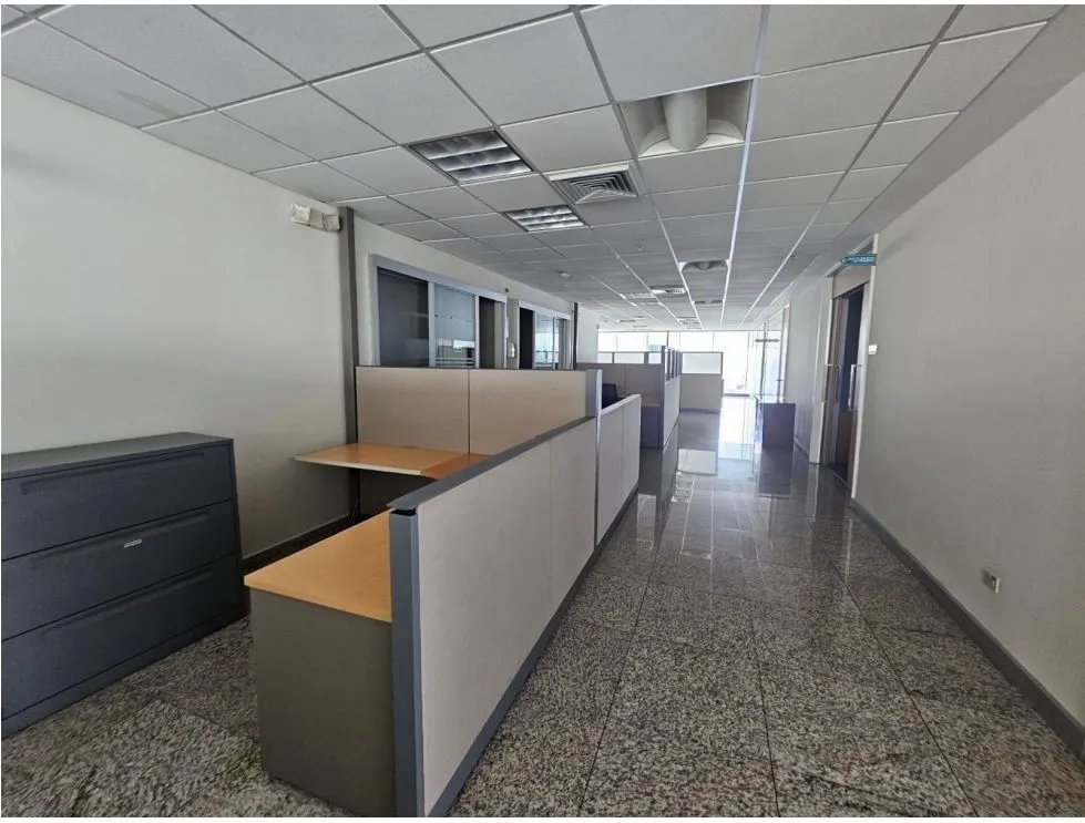 Office for rent in Calle 50