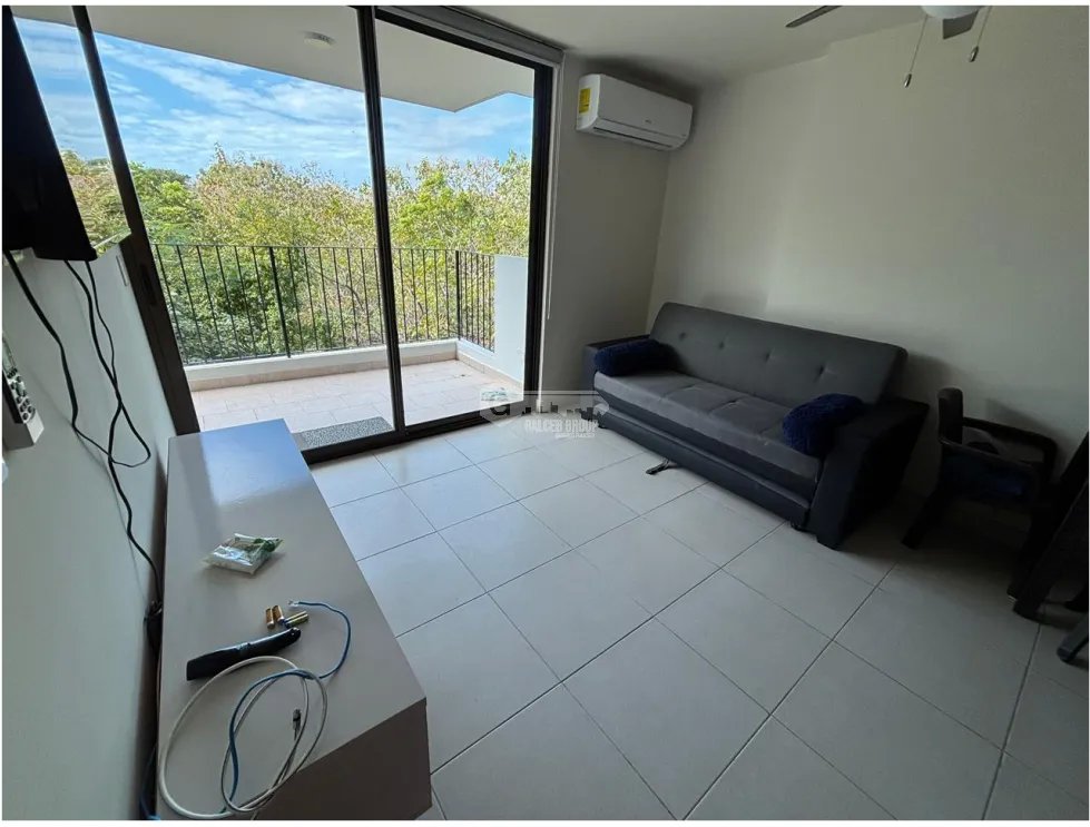 Apartment for rent in San Carlos