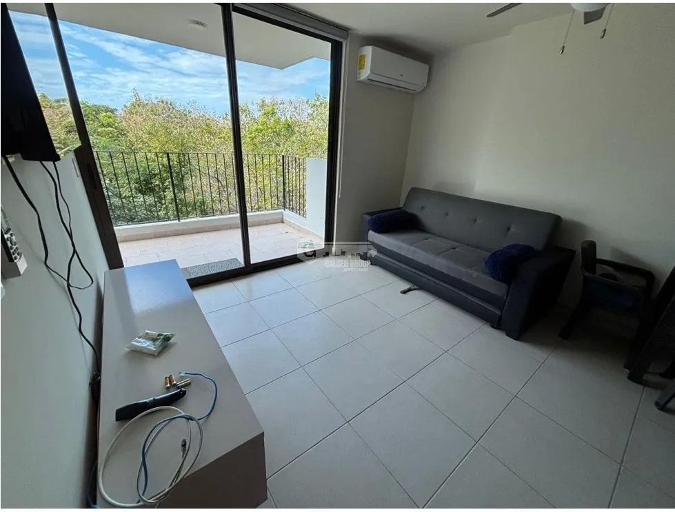 Apartment for rent in San Carlos