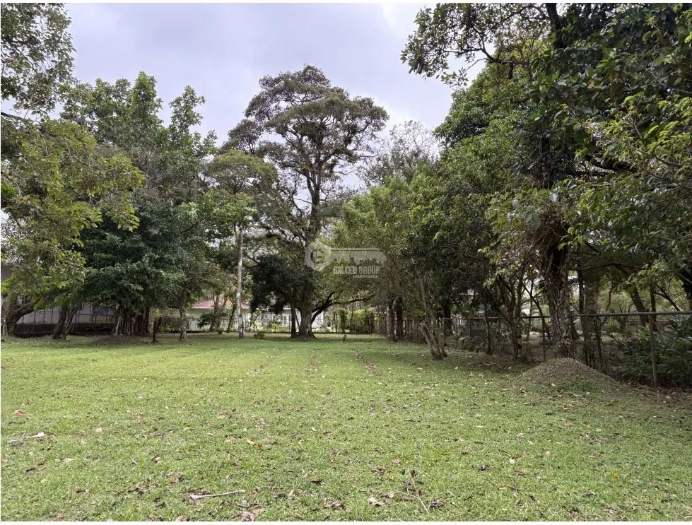 COCLE / EL VALLE / ANTON / 2086 M / TOPOGRAFIA PLANA / AG
