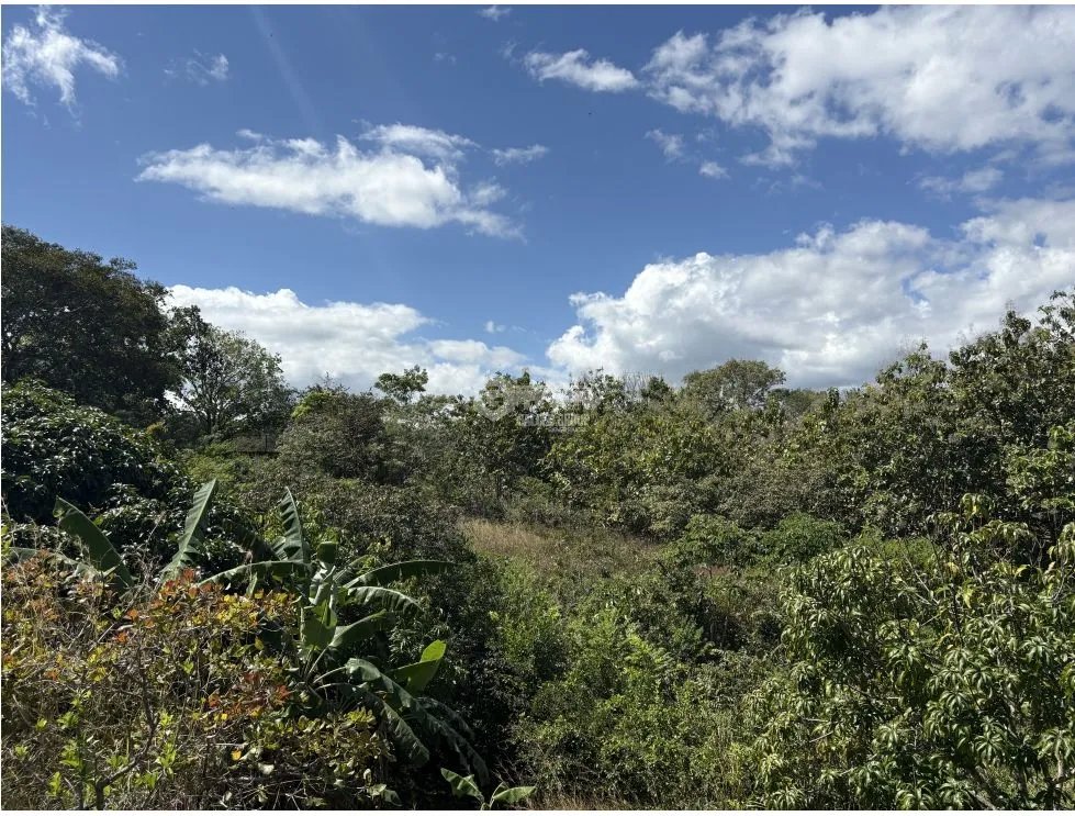 Building Lot for sale in San Carlos