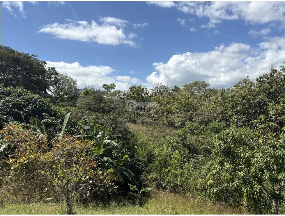Building Lot for sale in San Carlos