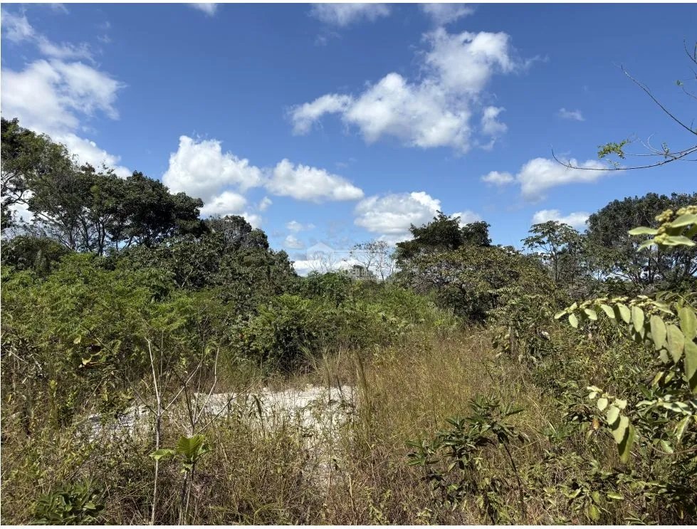 Building Lot for sale in San Carlos
