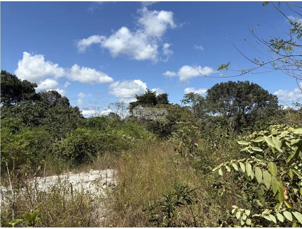 Building Lot for sale in San Carlos