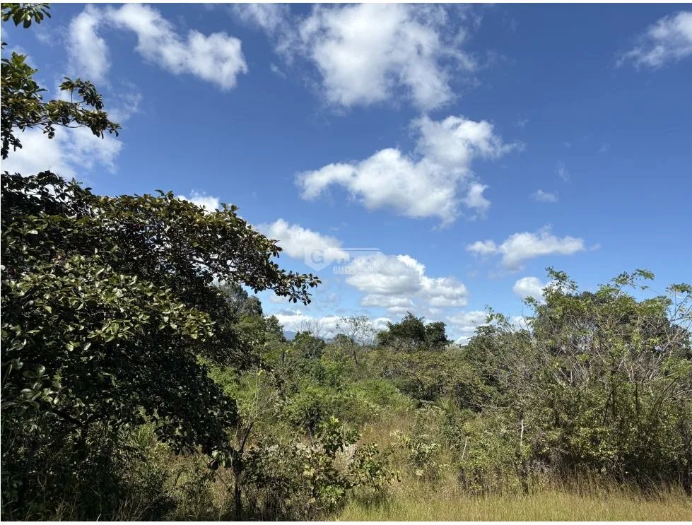 Building Lot for sale in San Carlos