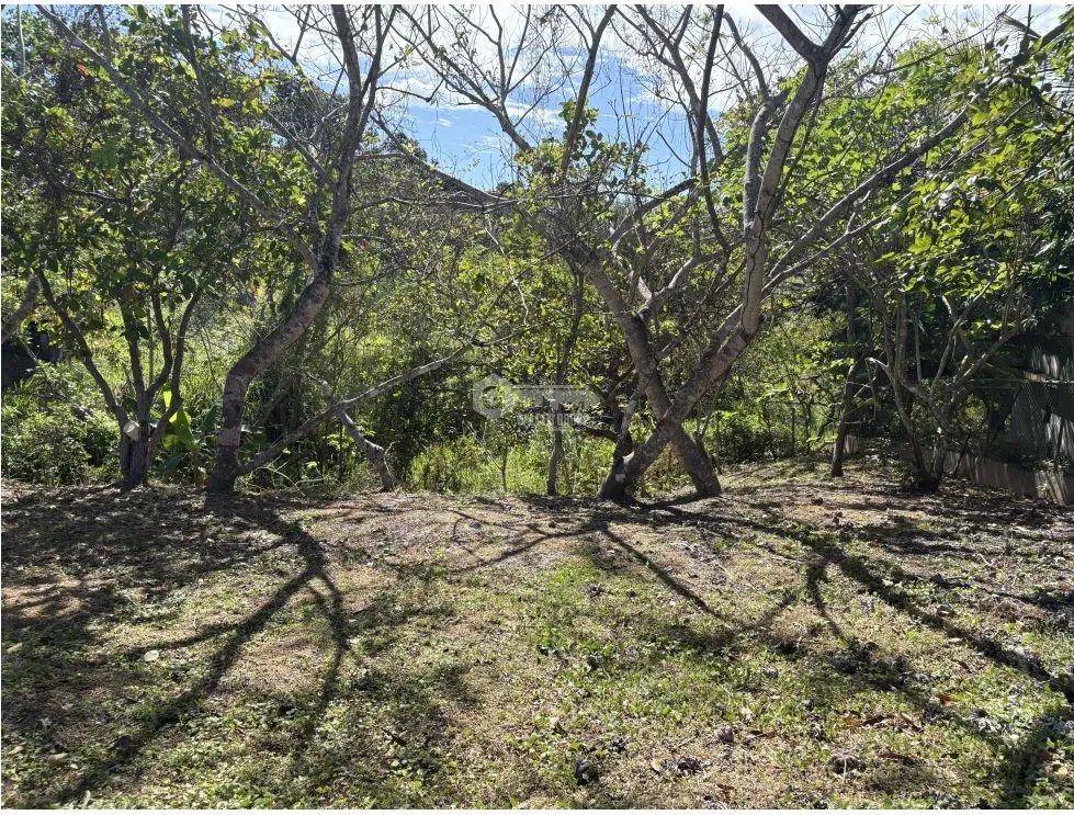 Building Lot for sale in San Carlos