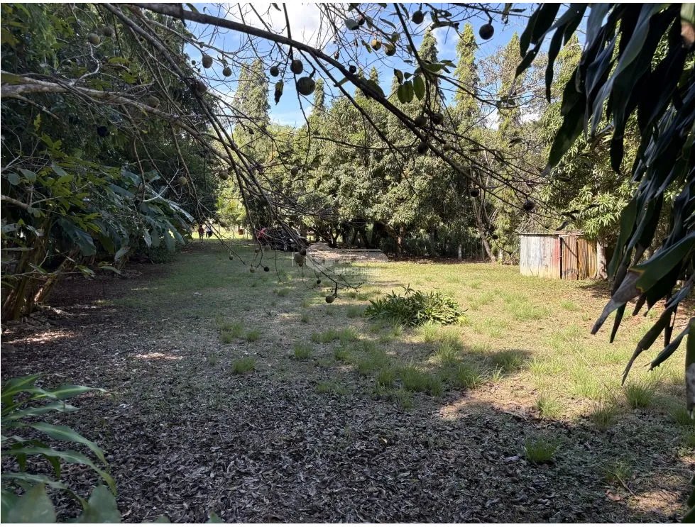 Building Lot for sale in San Carlos