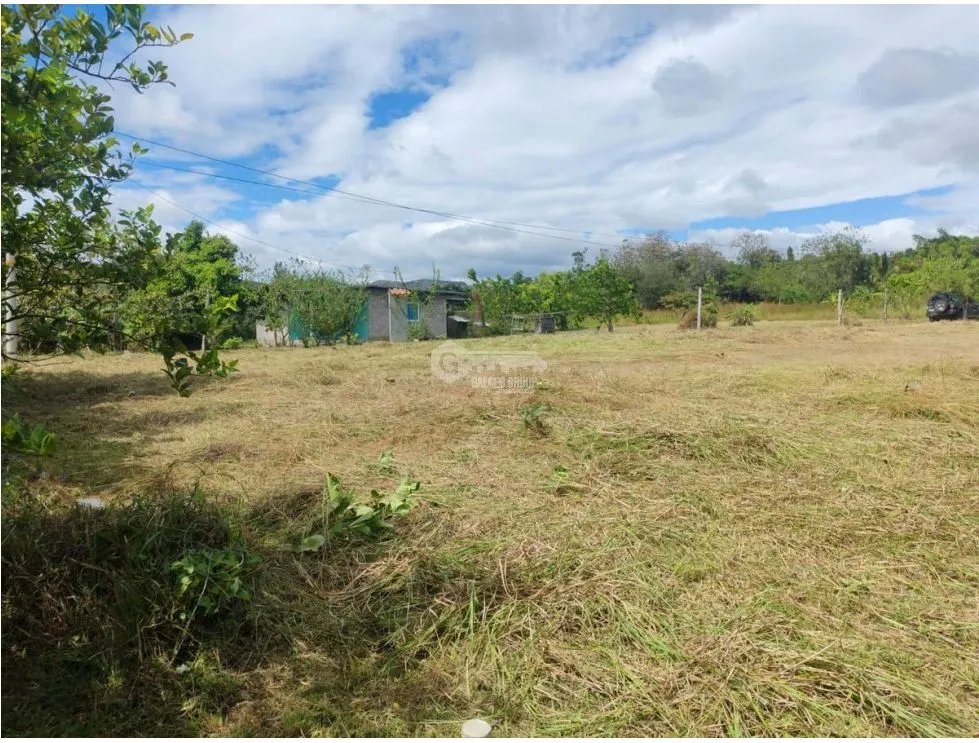 Building Lot for sale in Penonome