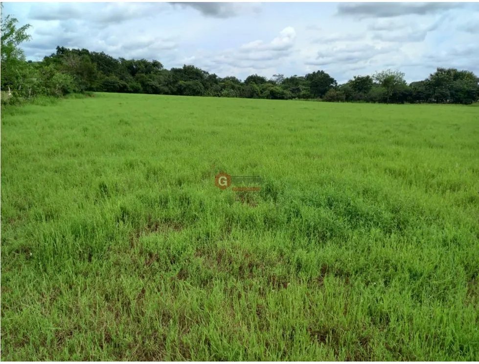 Building Lot for sale in Veraguas