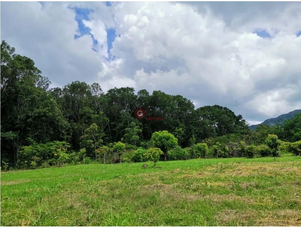 Land/Farm for sale in Chame