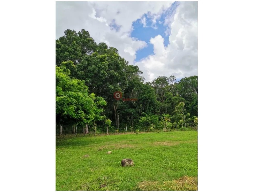 Land/Farm for sale in Chame