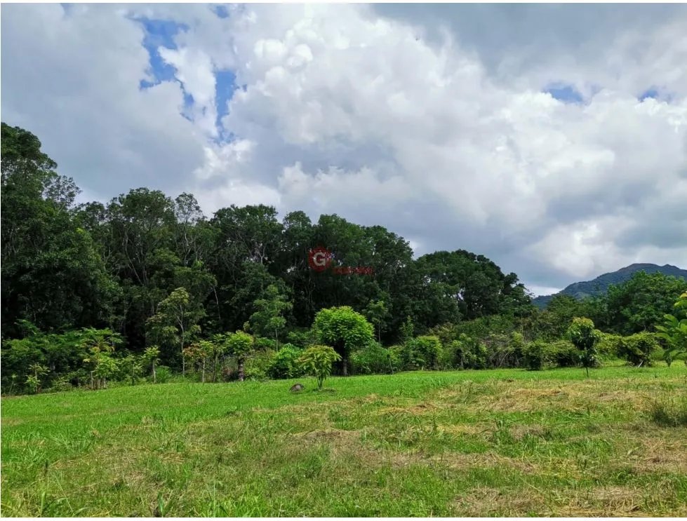 Land/Farm for sale in Chame