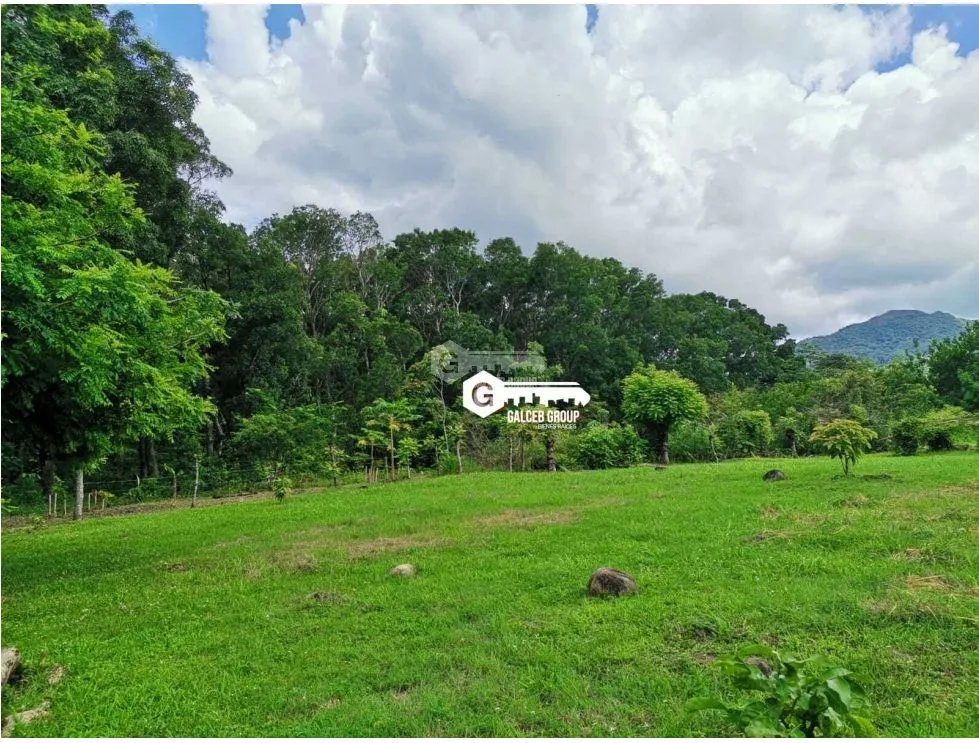 Land/Farm for sale in Chame