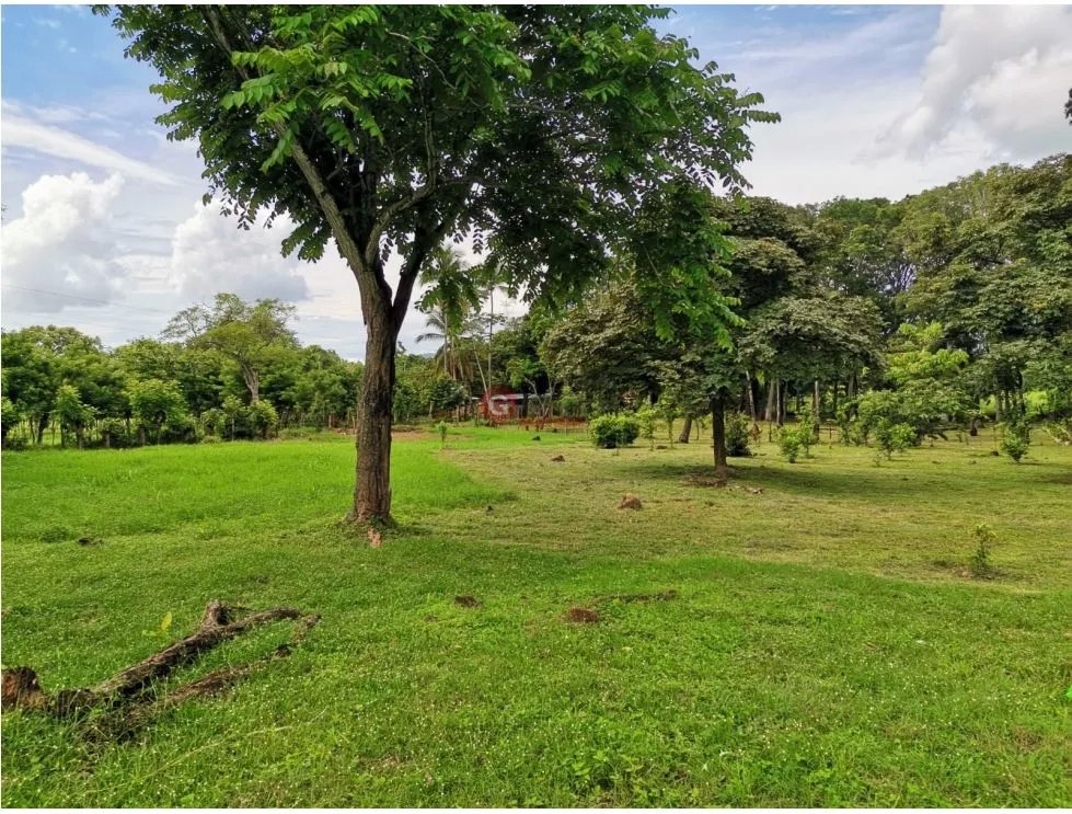 Land/Farm for sale in Chame