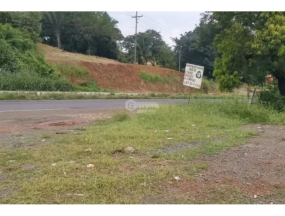 SE VENDE TERRENO COMERCIAL EN CHORRERA 7874M SOBRE VIA INTERAMERICANA
