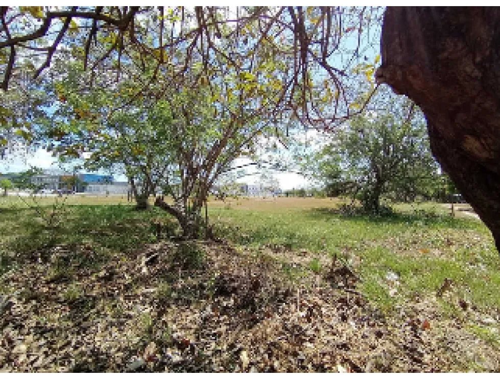 SE VENDE TERRENO COMERCIAL EN PENONOME 13473M SOBRE VIA INTERAMERICANA
