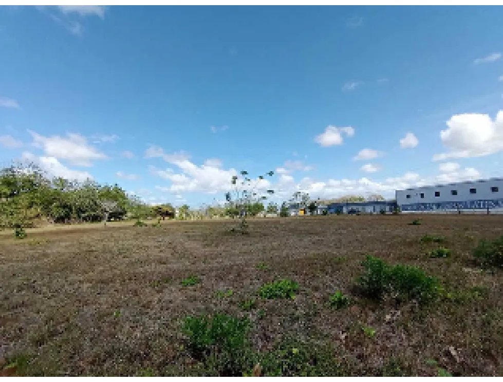 SE VENDE TERRENO COMERCIAL EN PENONOME 13473M SOBRE VIA INTERAMERICANA