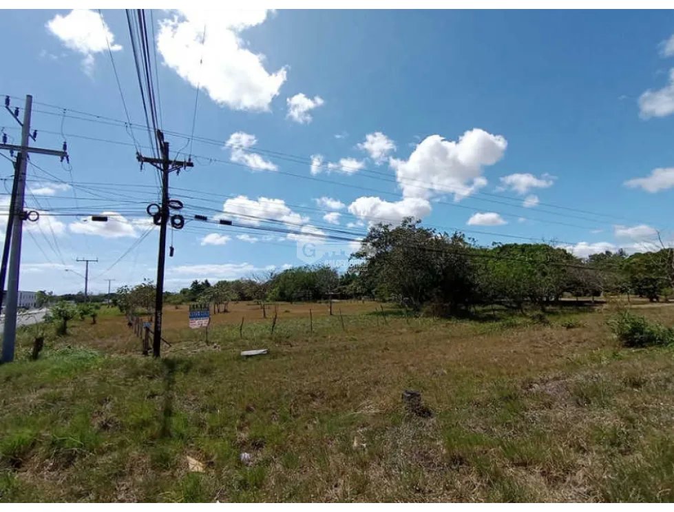 Building Lot for sale in Penonome