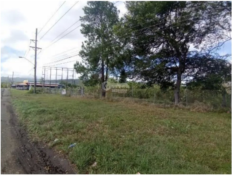 SE VENDE 6 HECTAREAS CAPIRA CON PROYECTO APROBADO VIA INTERAMERICANA