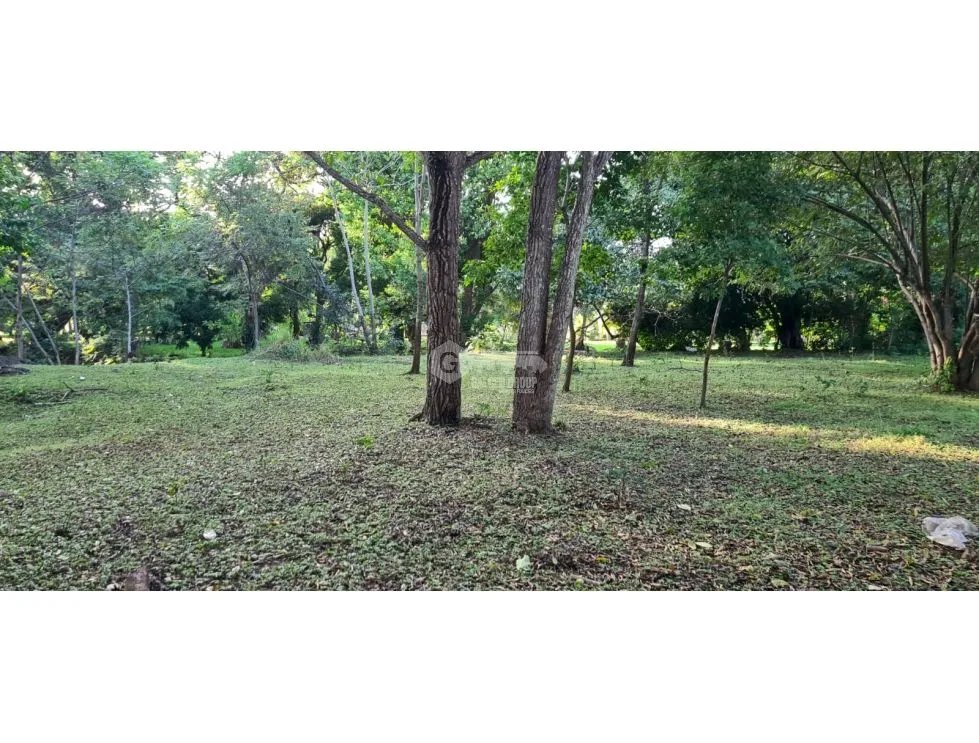 TERRENO COMERCIAL / SAJALICES / 10,000M2 / VIA INTERAMERICANA