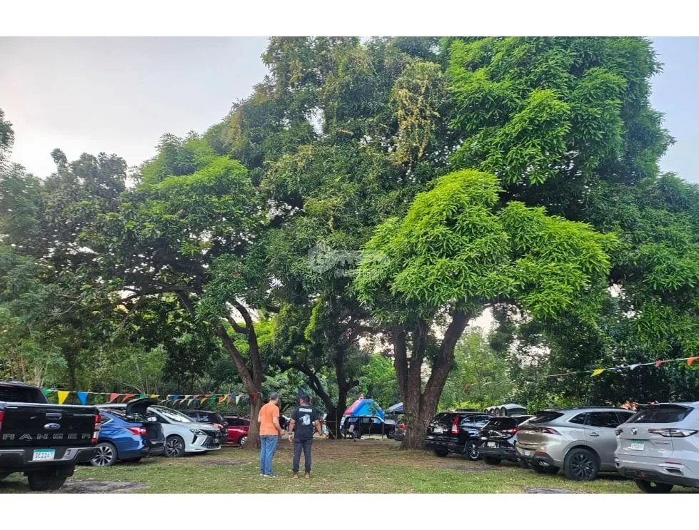 TERRENO COMERCIAL / SAJALICES / 10,000M2 / VIA INTERAMERICANA