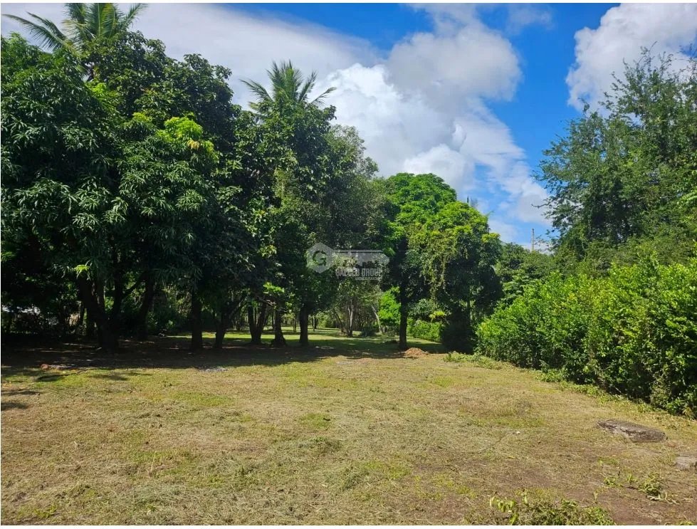 TERRENO COMERCIAL / SAJALICES / 10,000M2 / VIA INTERAMERICANA
