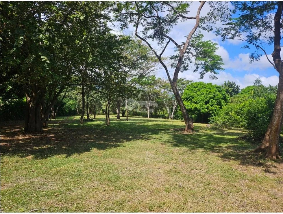 TERRENO COMERCIAL / SAJALICES / 10,000M2 / VIA INTERAMERICANA