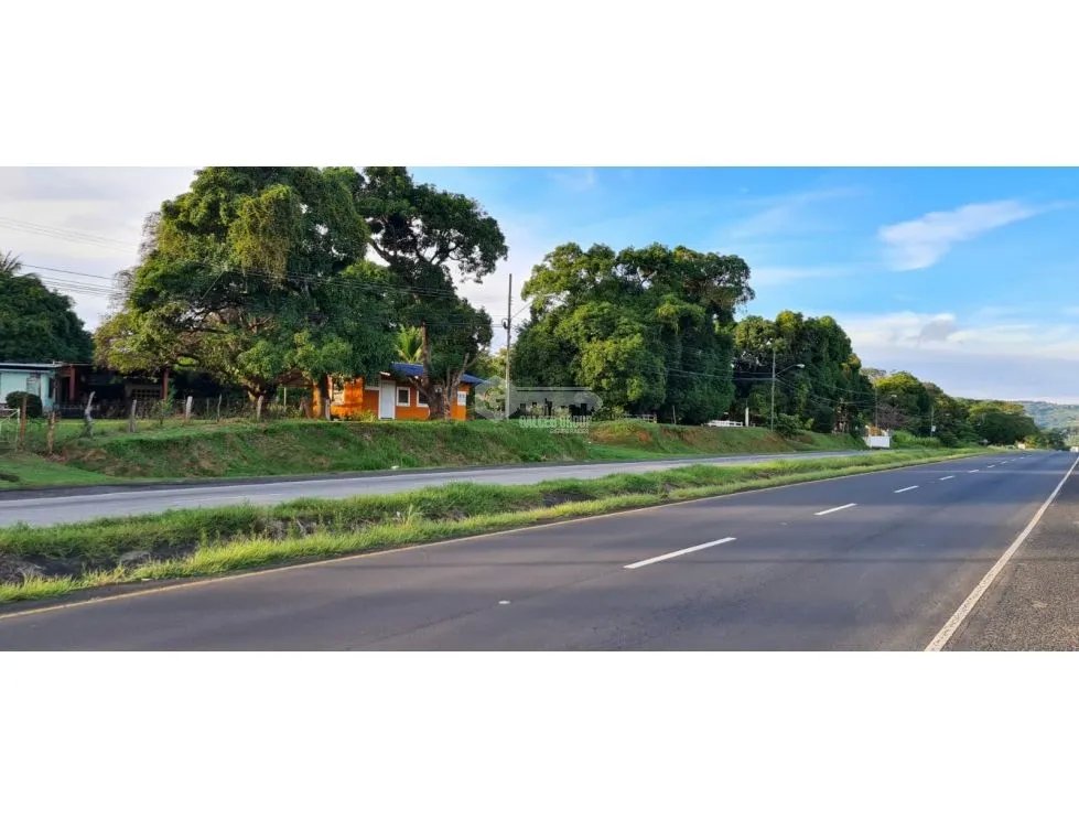 TERRENO COMERCIAL / SAJALICES / 10,000M2 / VIA INTERAMERICANA