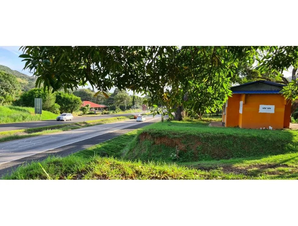 TERRENO COMERCIAL / SAJALICES / 10,000M2 / VIA INTERAMERICANA