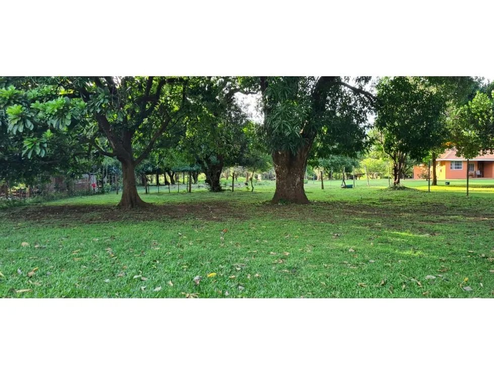 TERRENO COMERCIAL / SAJALICES / 10,000M2 / VIA INTERAMERICANA