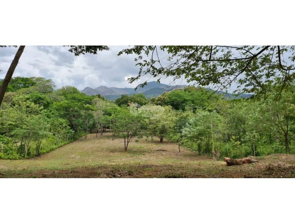 TERRENO COMERCIAL / SAJALICES / 10,000M2 / VIA INTERAMERICANA