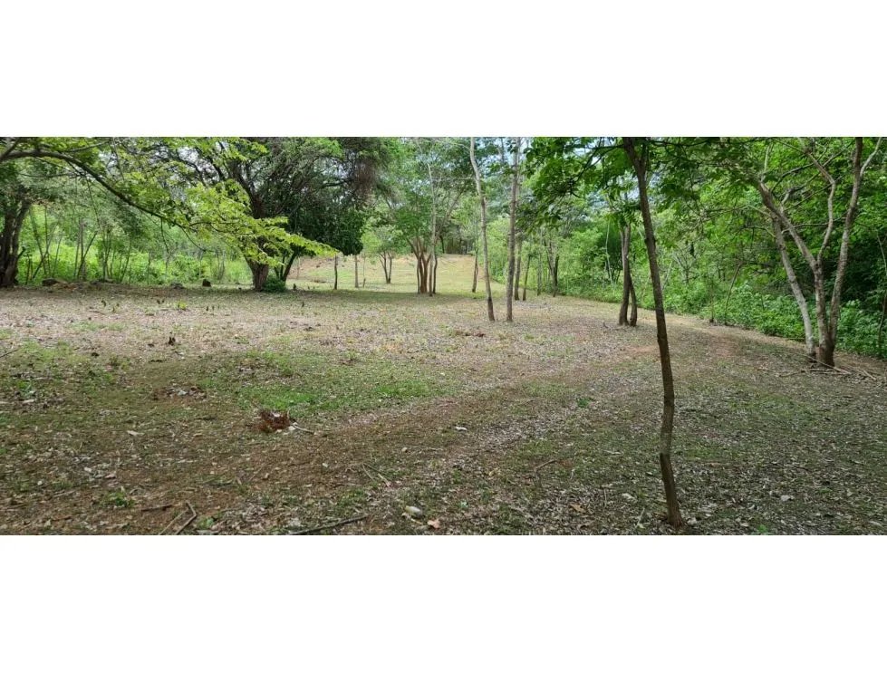 TERRENO COMERCIAL / SAJALICES / 10,000M2 / VIA INTERAMERICANA