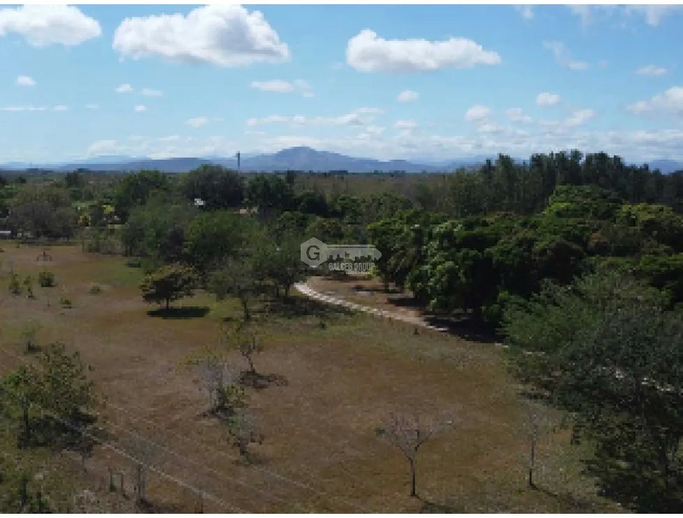 PENONOME / TERRENO COMERCIAL / 13473M2 / SOBRE VIA INTERAMERICANA