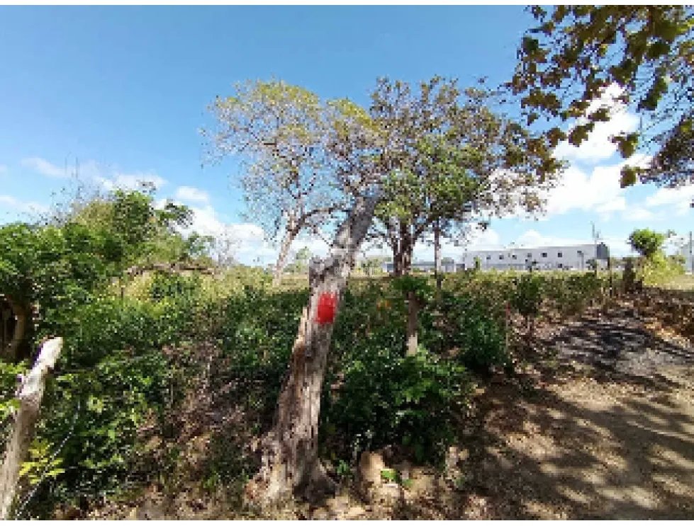 Building Lot for sale in Penonome