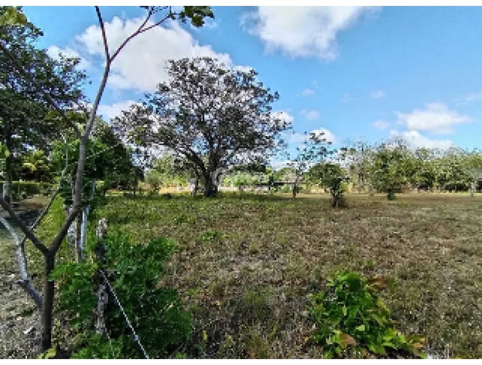 Building Lot for sale in Penonome
