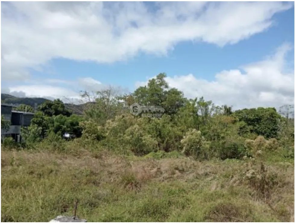 CAPIRA / 6 HECTAREAS / VIA INTERAMERICANA / CON PROYECTO APROBADO